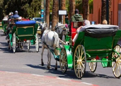Balade en calèche à Marrakech